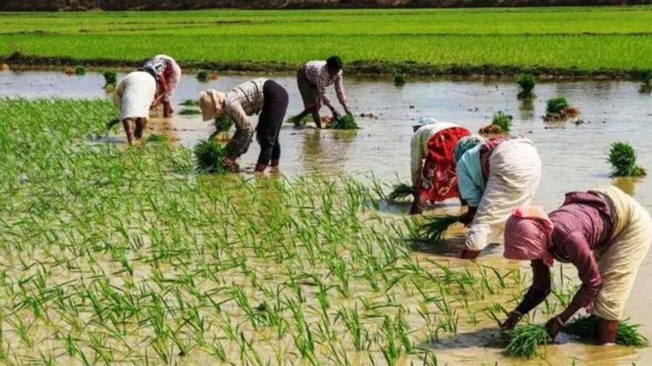 kisan Samman Nidhi kisan Samman Nidhi