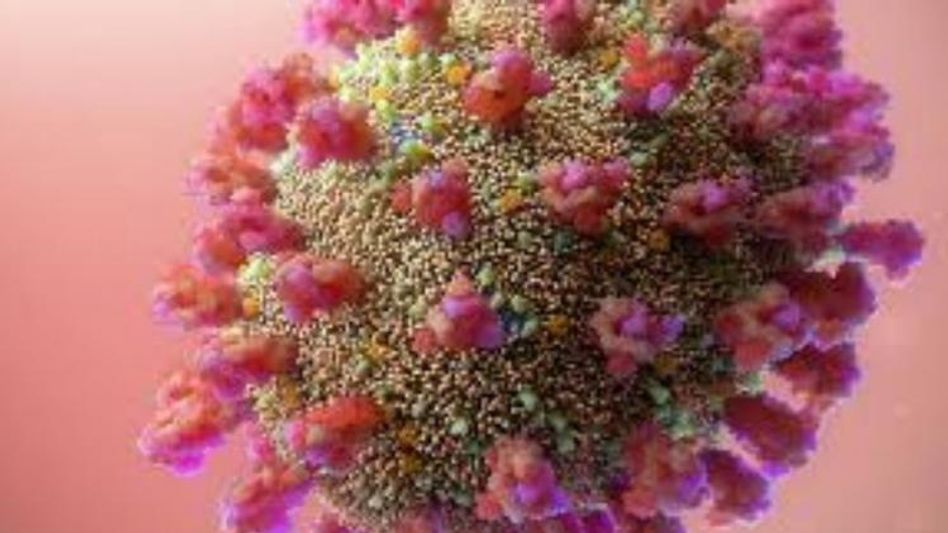 Genome Sequencing Genome Sequencing