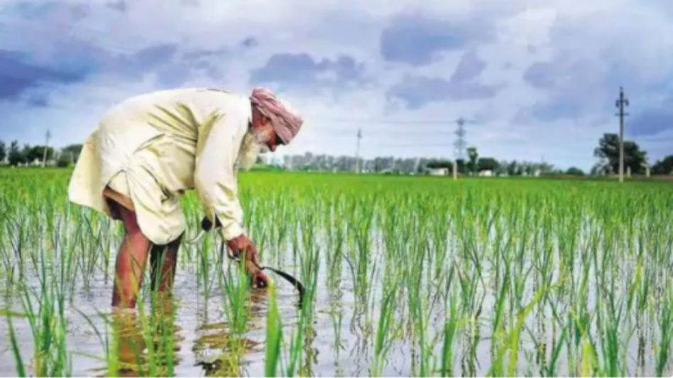 प्रधानमंत्री नरेंद्र मोदी ने साल 2022 के पहले दिन पीएम किसान सम्मान निधि योजना की 10वीं किस्त जारी की थी प्रधानमंत्री नरेंद्र मोदी ने साल 2022 के पहले दिन पीएम किसान सम्मान निधि योजना की 10वीं किस्त जारी की थी