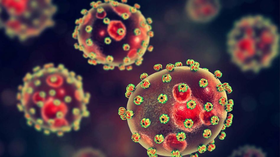 Lassa Fever Lassa Fever