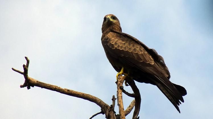 Representative Image  (PC: Unsplash)