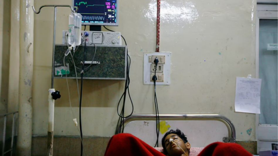 केरल में ‘मंकी फीवर’ ने दी दस्तक केरल में ‘मंकी फीवर’ ने दी दस्तक