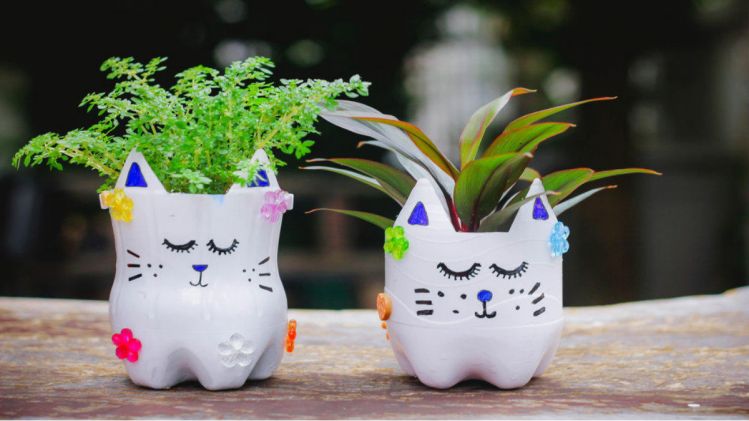 Make planters from plastic bottles