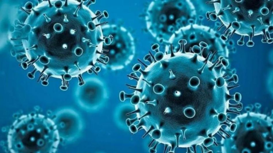 ओमिक्रॉन का सब-वेरिएंट(BA.2) काफी खतरनाक है ओमिक्रॉन का सब-वेरिएंट(BA.2) काफी खतरनाक है