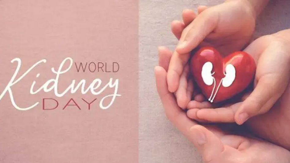world kidney day world kidney day