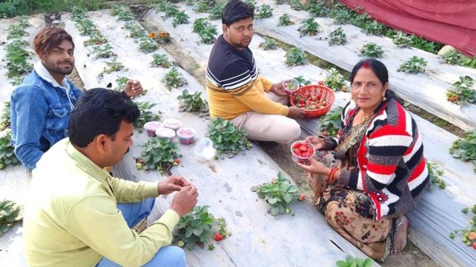 मंत्रवती  मंत्रवती