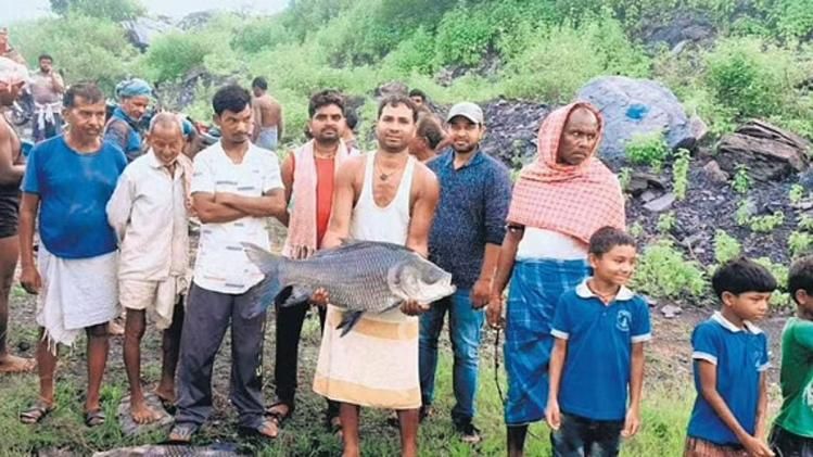 शशिकांत खाली पड़े कोयला खदानों में कर रहे मछलीपालन