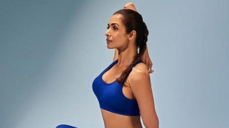 मलाइका अरोड़ा  मलाइका अरोड़ा