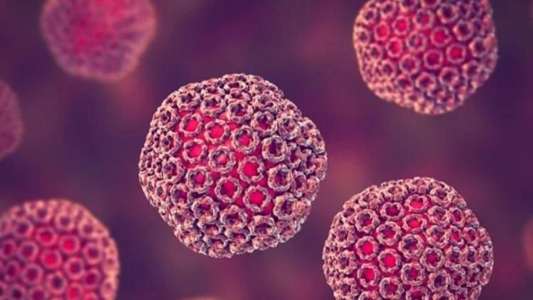 Rift Valley Fever Rift Valley Fever