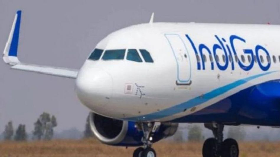 Indigo Airline Indigo Airline