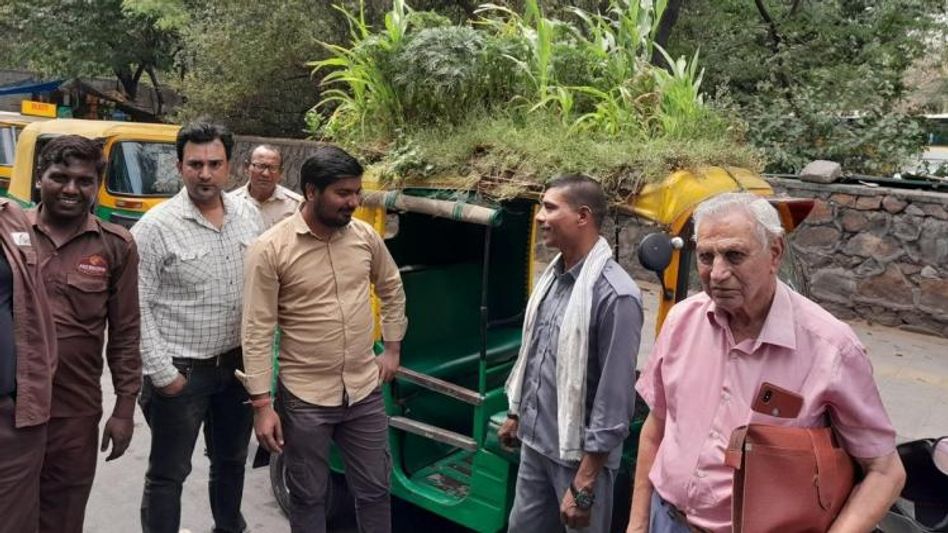 Auto Garden Auto Garden