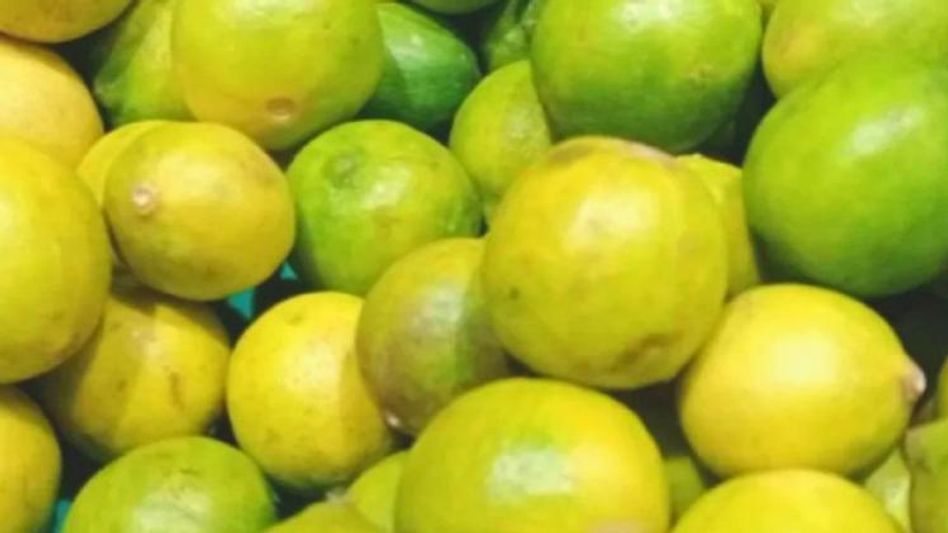 चोरों ने मंडी से चुराए दो बोरे   चोरों ने मंडी से चुराए दो बोरे