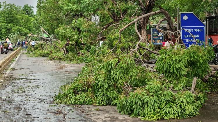Delhi-NCR Weather/PTI