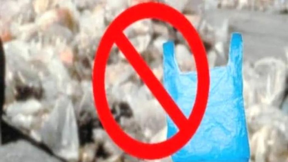 Single Use Plastic  Single Use Plastic