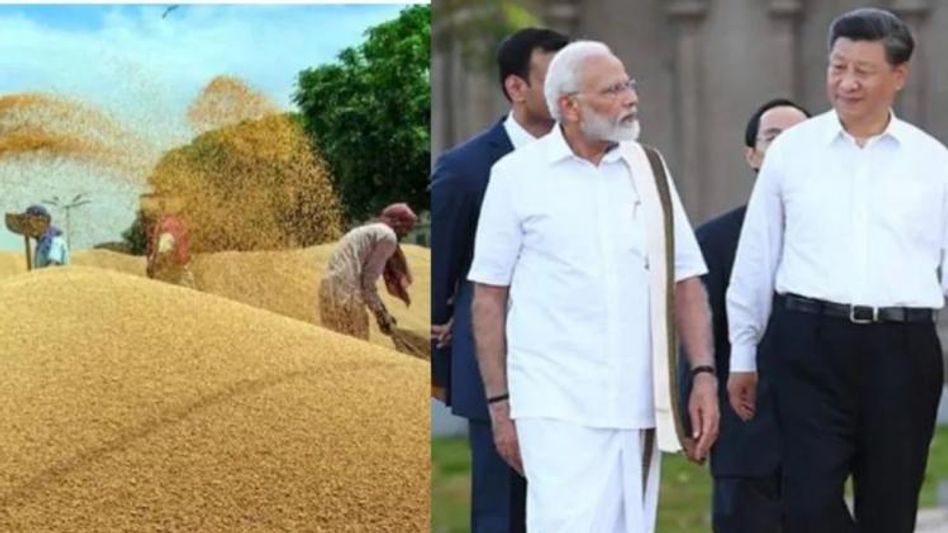 भारत के गेहूं निर्यात पर बैन का चीन ने किया समर्थन भारत के गेहूं निर्यात पर बैन का चीन ने किया समर्थन