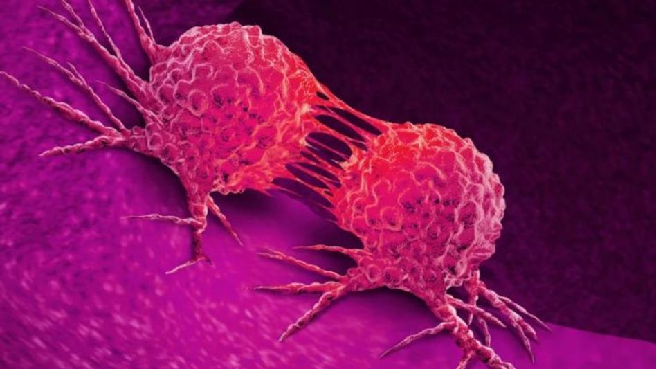 Cancer cell Cancer cell