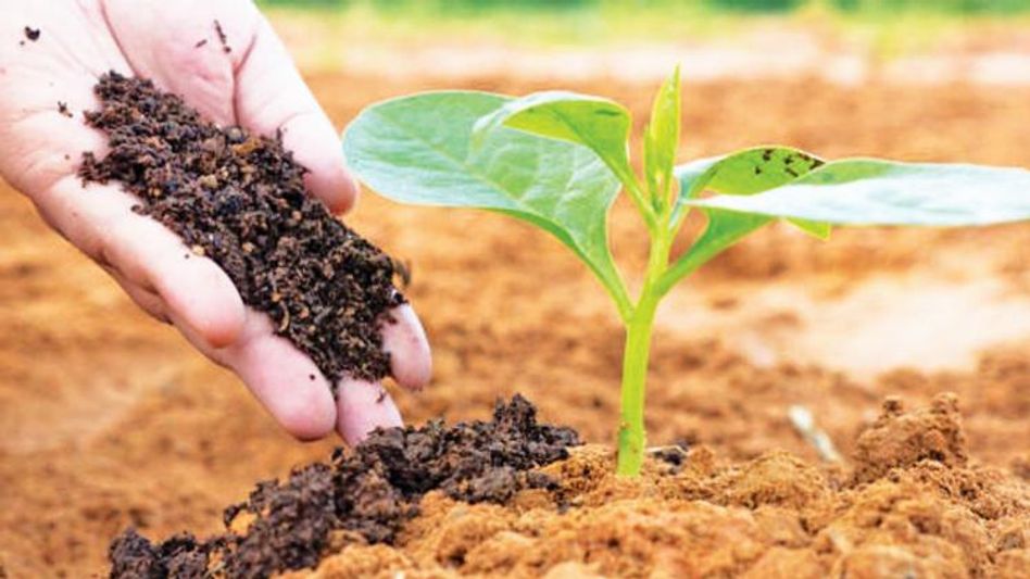 Organic Farming Organic Farming