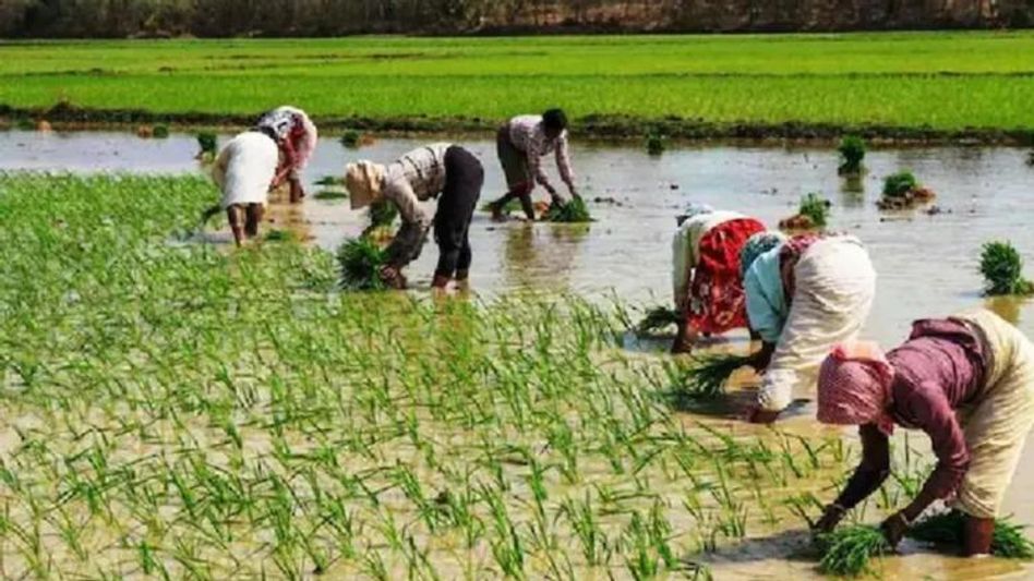 पीएम सम्मान निधि योजना में किसानों को बड़ी राहत पीएम सम्मान निधि योजना में किसानों को बड़ी राहत