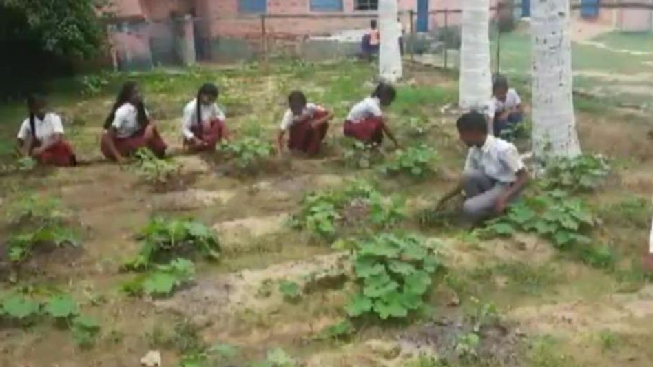 Kitchen Garden in Govt. School Kitchen Garden in Govt. School