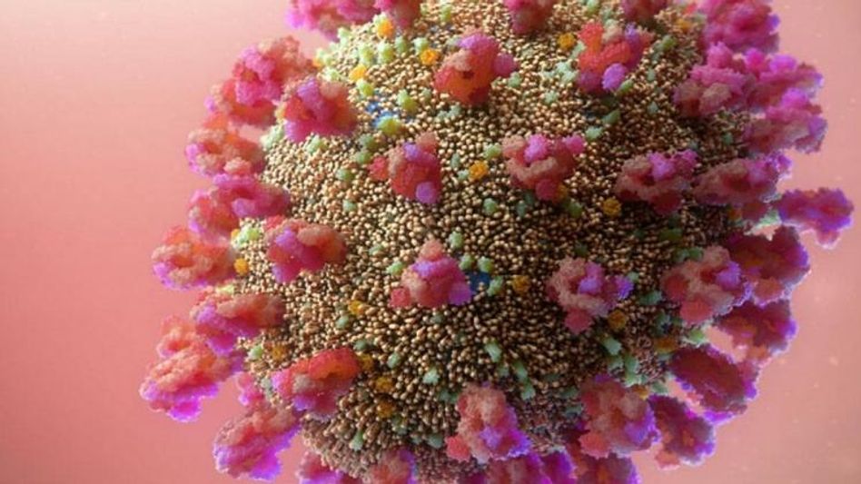 Virus (Photo: Representative Image) Virus (Photo: Representative Image)