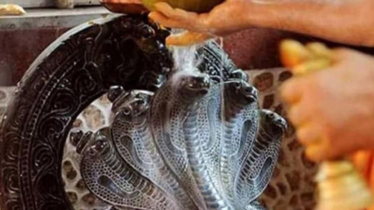 Nag Panchami Nag Panchami