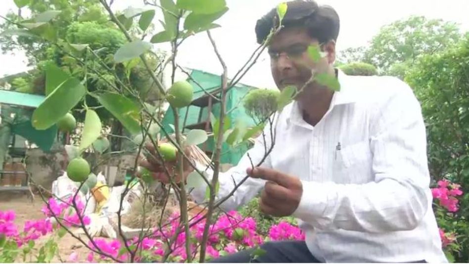 Saurabh Tripathi Saurabh Tripathi