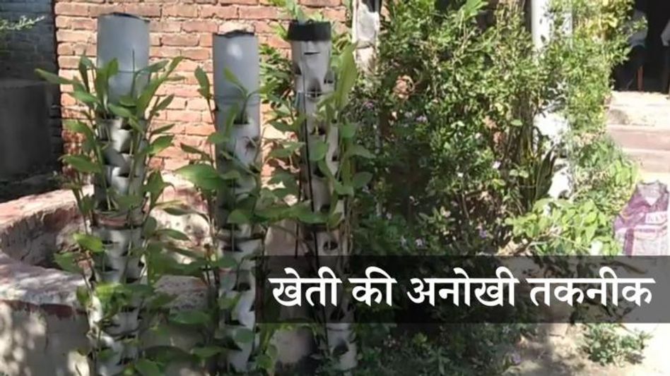 Vertical Farming Vertical Farming