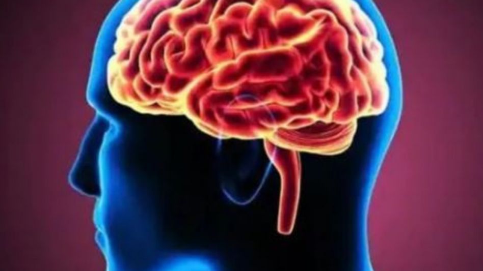 moderate levels of stress can help individuals develop resilience moderate levels of stress can help individuals develop resilience
