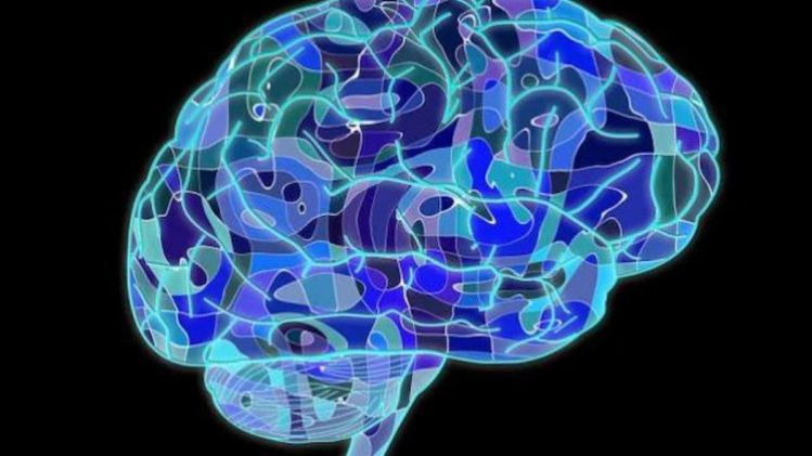 IBS Hospital in Delhi launched first brain mapping device