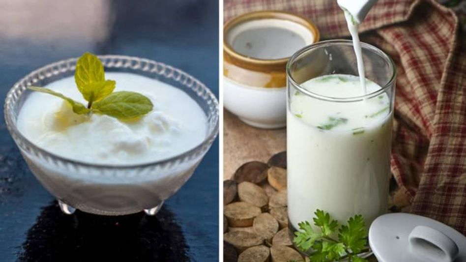 Curd vs Buttermilk (Photo: Unsplash) Curd vs Buttermilk (Photo: Unsplash)