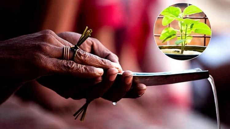 Indira Ekadashi 2022