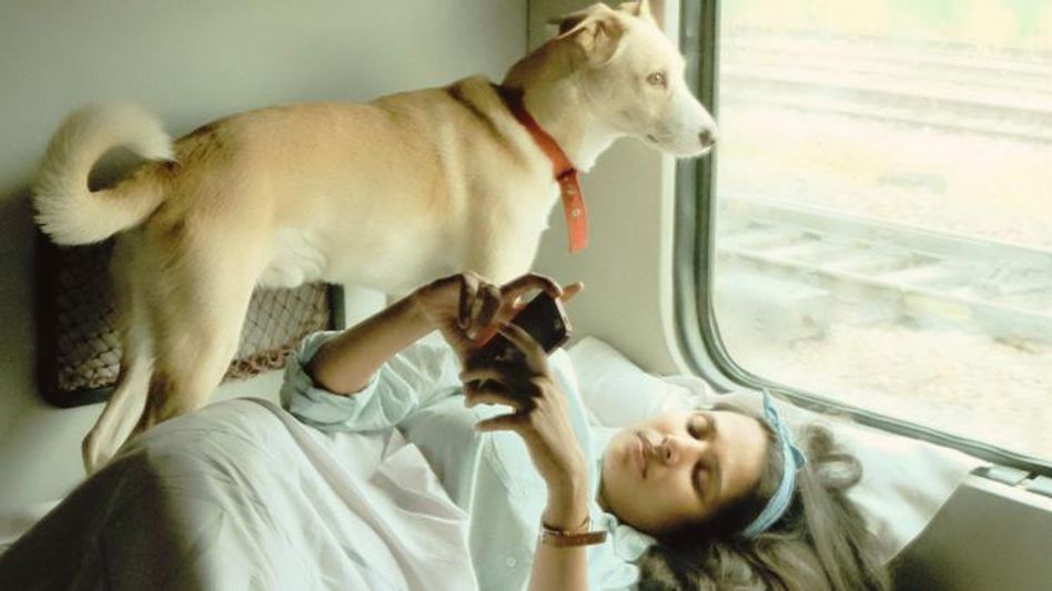 Pet in Train Pet in Train