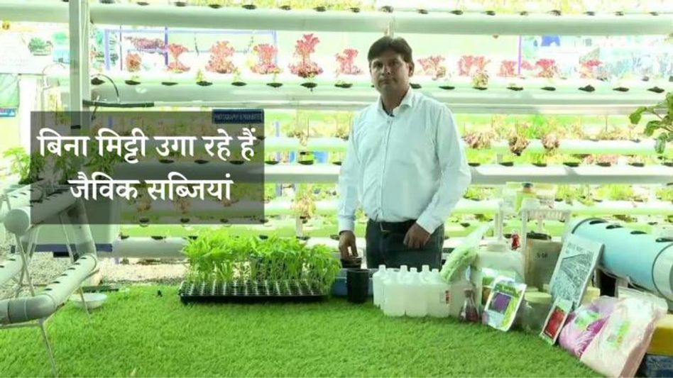 Hydroponics Farmer Arvind Dhakad Hydroponics Farmer Arvind Dhakad