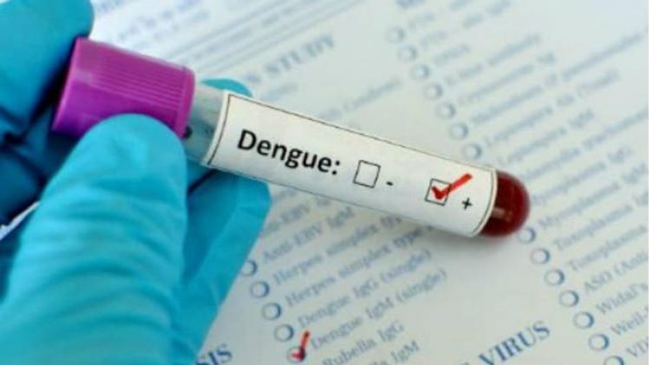 dengue dengue
