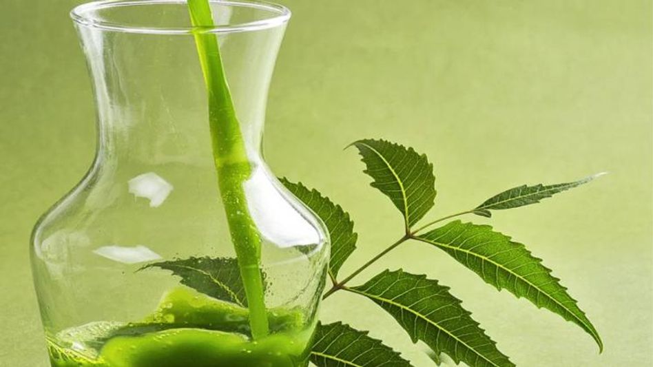 डेंगू रोगी घर पर ये पेय बना सकते है डेंगू रोगी घर पर ये पेय बना सकते है