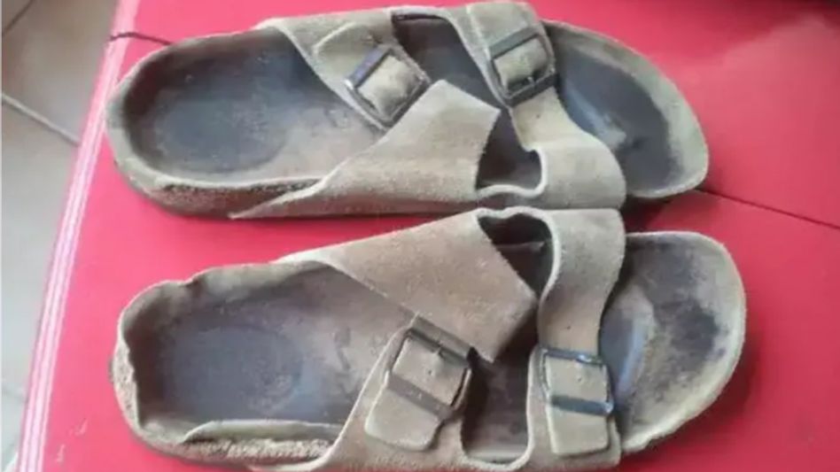 Photo:Facebook/Mark Scheff Photo:Facebook/Mark Scheff