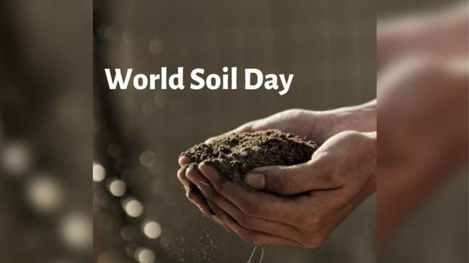 World Soil Day 2022 World Soil Day 2022