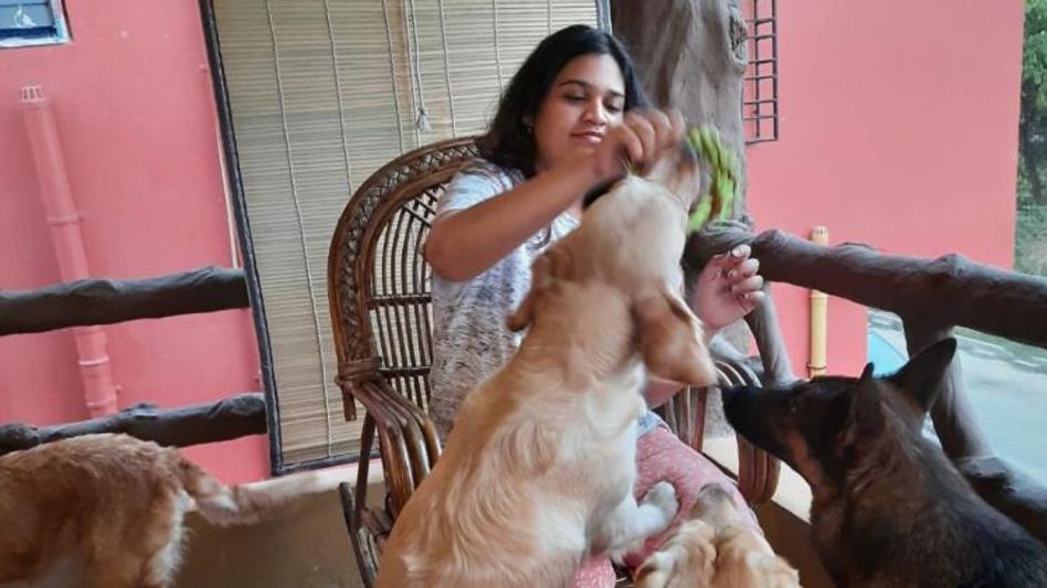 पेट-फ्रेंडली होमस्टो में पालतू जानवरों के साथ छुट्टियां मना सकते हैं पेट-फ्रेंडली होमस्टो में पालतू जानवरों के साथ छुट्टियां मना सकते हैं