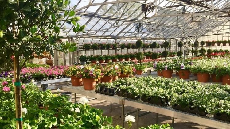Floriculture Mission