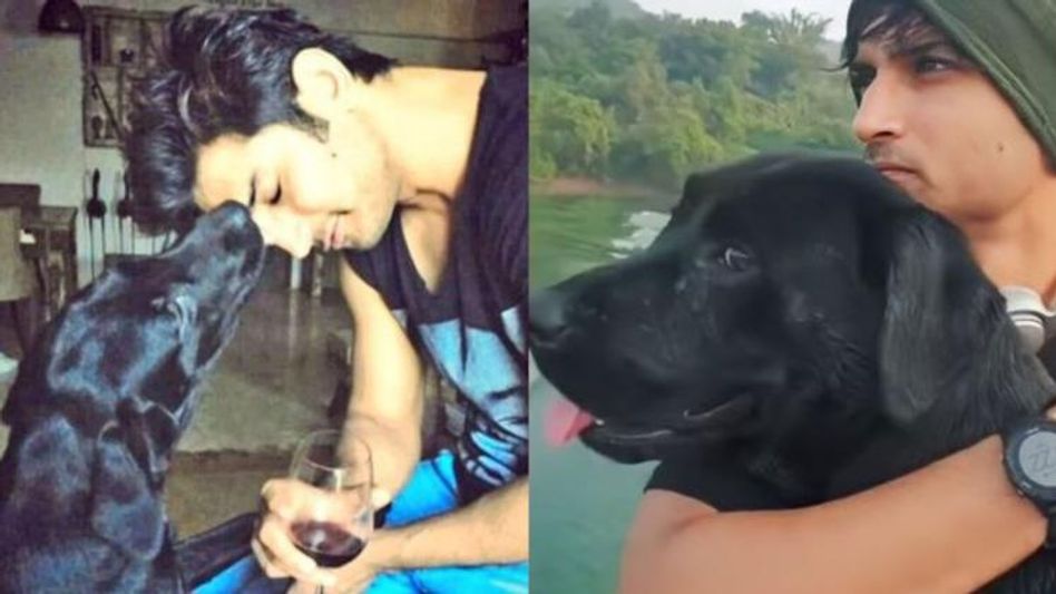 Sushant Singh Rajput Dog Sushant Singh Rajput Dog
