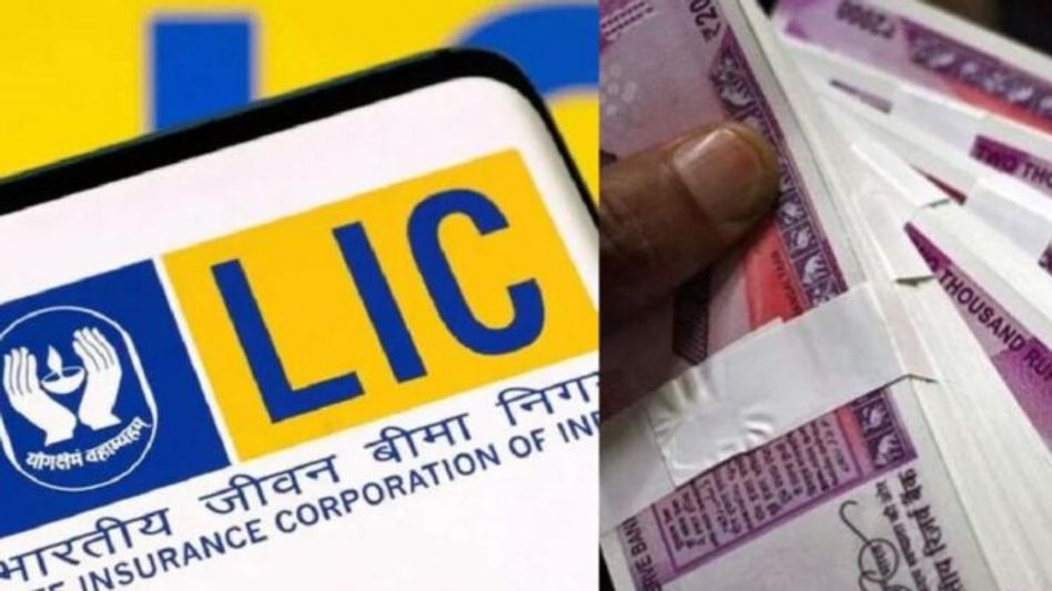 एलआईसी धन वर्षा स्कीम बंद होगी. एलआईसी धन वर्षा स्कीम बंद होगी.