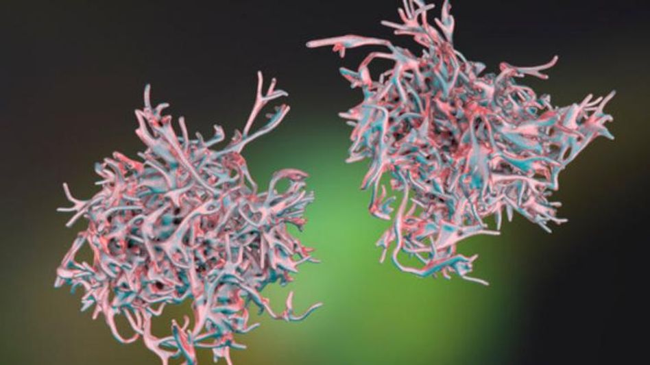 Representational Image Representational Image