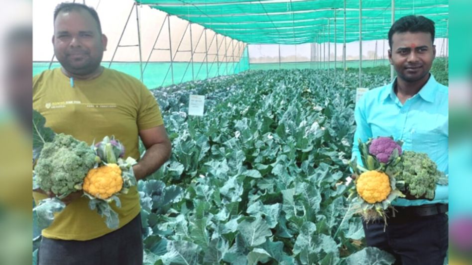 किसान किसान