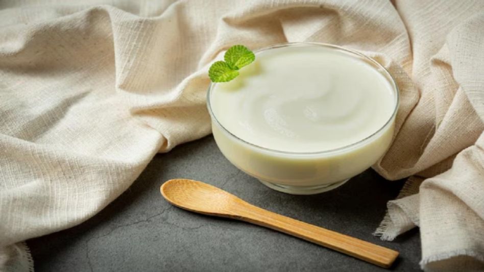 Different Names of Curd Different Names of Curd