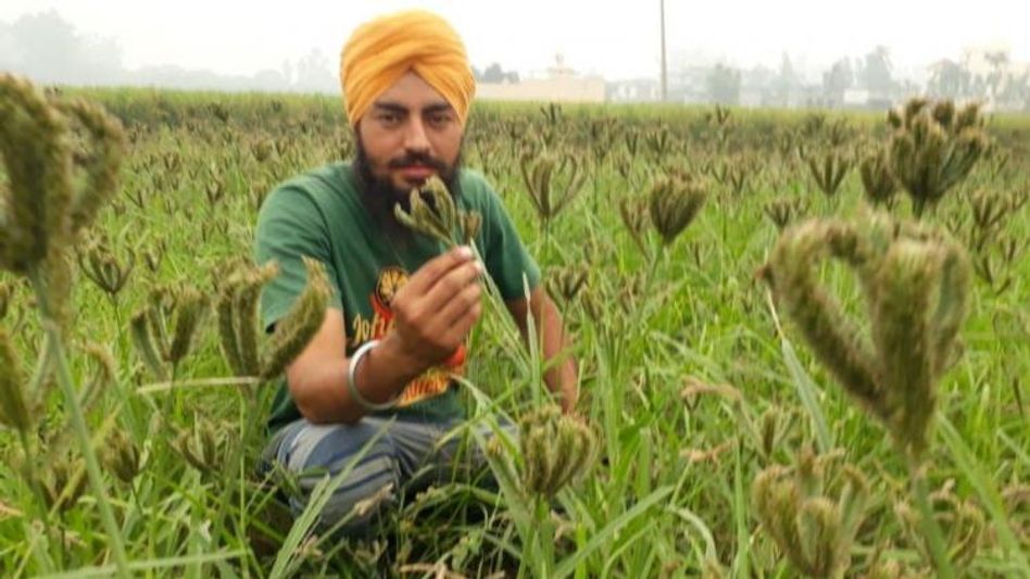 Paramjit Singh Pannu Paramjit Singh Pannu