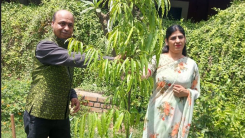 Tree Man of Gurugram Tree Man of Gurugram