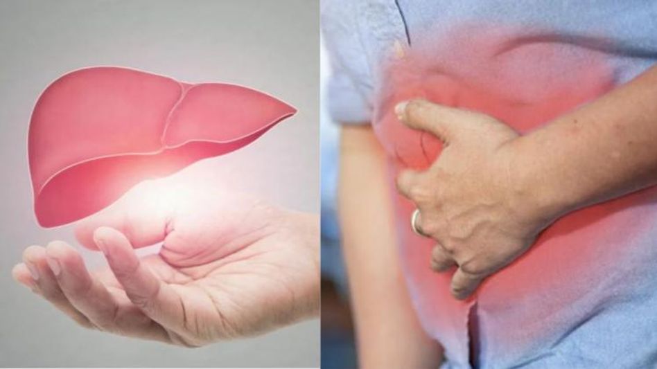 अपने लिवर का विशेष ध्यान रखें. अपने लिवर का विशेष ध्यान रखें.