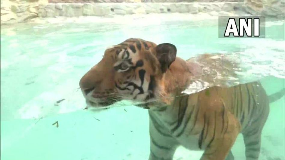 भायखला चिड़ियाघर भायखला चिड़ियाघर