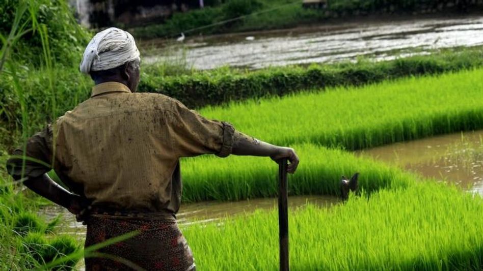 पीएम किसान योजना पीएम किसान योजना