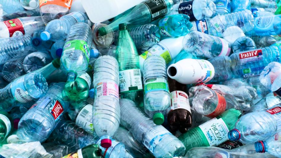 Fungi Breakdown Plastic Waste Fungi Breakdown Plastic Waste